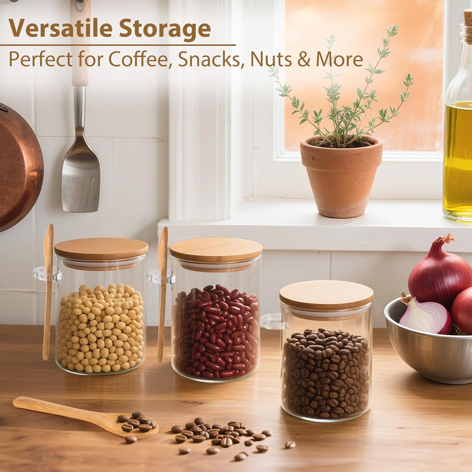 6 Pack Overnight Oats Containe - Meal Prep Jar avis et prix