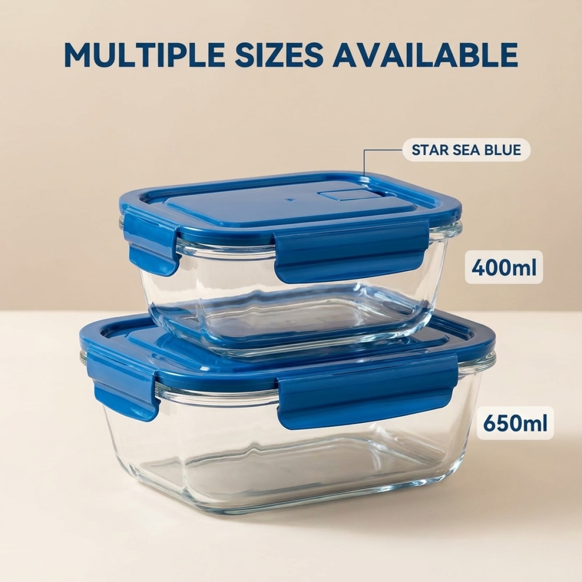 2 Pack Glass Lunch Box Borosil - Meal Prep Gym Food avis et prix