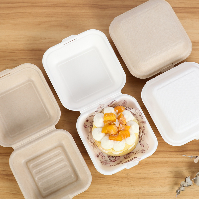 10/20/50Pcs Disposable Eco-Fri - Meal Prep For A Day avis et prix
