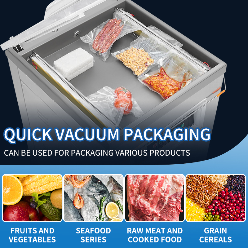 DZ600  Single Chamber Food Vac - Meal Prep With Chicken avis et prix